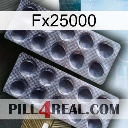 Fx25000 31